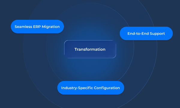 Custom ERP Implementation & Migration