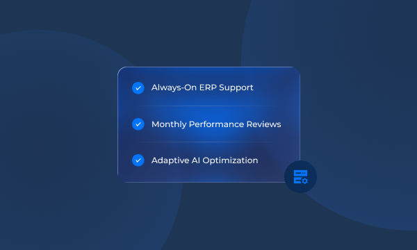 Ongoing ERP Management & AI Enhancements